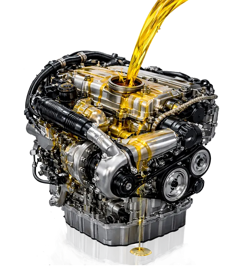 Домашняя страница